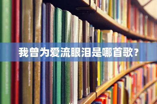 我曾为爱流眼泪是哪首歌？
