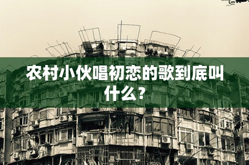 农村小伙唱初恋的歌到底叫什么？