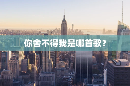 你舍不得我是哪首歌？