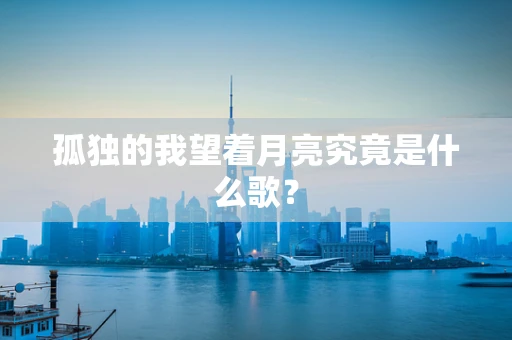 孤独的我望着月亮究竟是什么歌？