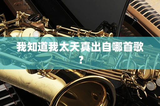 我知道我太天真出自哪首歌？