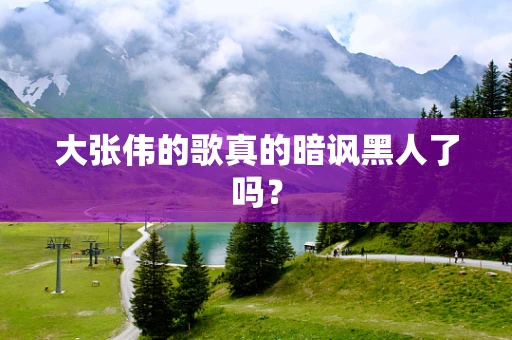 大张伟的歌真的暗讽黑人了吗？
