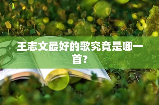 王志文最好的歌究竟是哪一首？