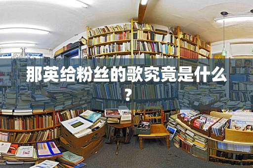 那英给粉丝的歌究竟是什么？