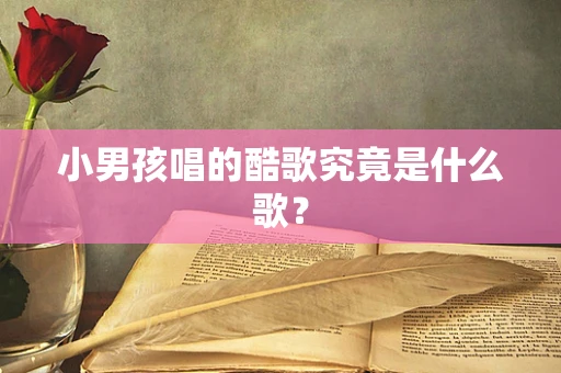 小男孩唱的酷歌究竟是什么歌？