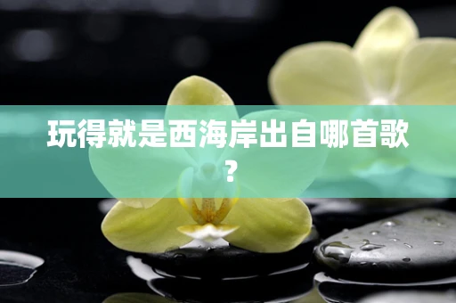 玩得就是西海岸出自哪首歌？