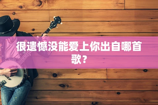 很遗憾没能爱上你出自哪首歌？