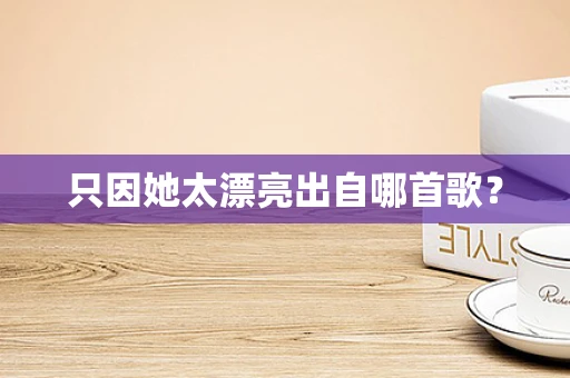 只因她太漂亮出自哪首歌？