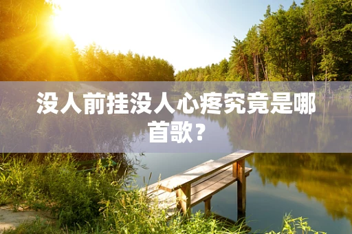 没人前挂没人心疼究竟是哪首歌？
