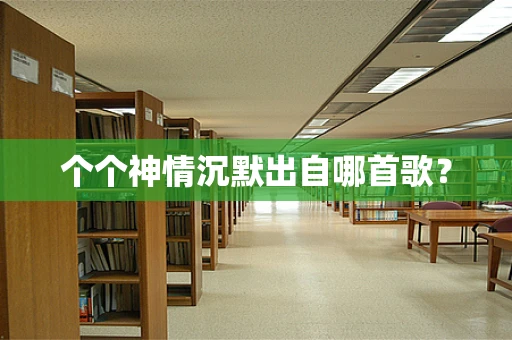 个个神情沉默出自哪首歌？