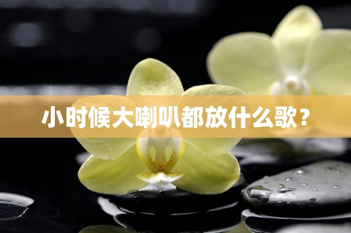 小时候大喇叭都放什么歌？