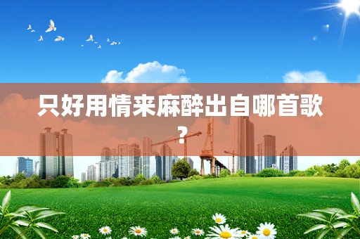 只好用情来麻醉出自哪首歌？