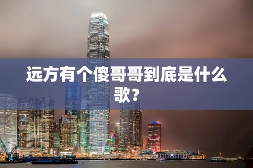 远方有个傻哥哥到底是什么歌？