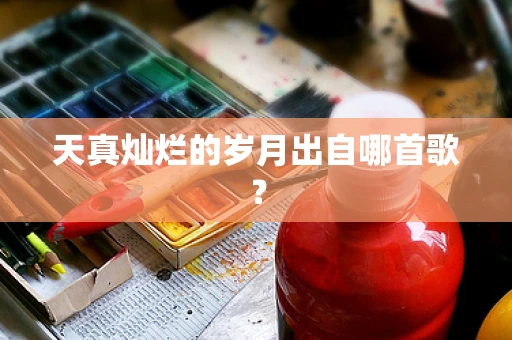 天真灿烂的岁月出自哪首歌？