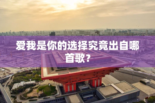 爱我是你的选择究竟出自哪首歌？
