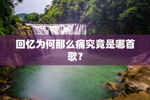 回忆为何那么痛究竟是哪首歌？