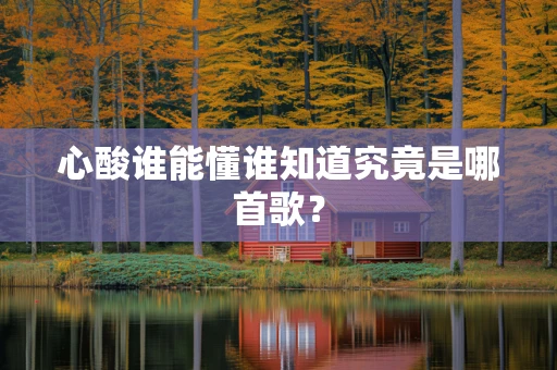 心酸谁能懂谁知道究竟是哪首歌？