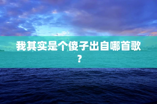 我其实是个傻子出自哪首歌？