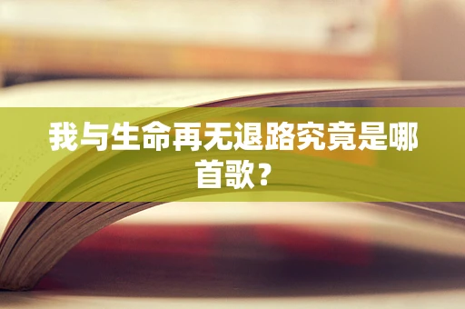 我与生命再无退路究竟是哪首歌？