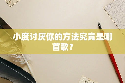 小度讨厌你的方法究竟是哪首歌？