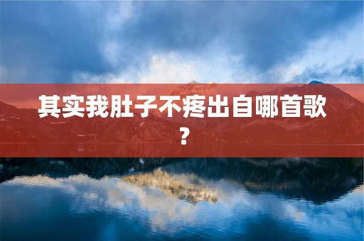 其实我肚子不疼出自哪首歌？