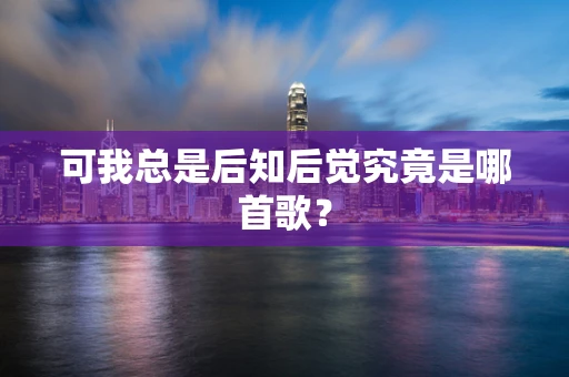 可我总是后知后觉究竟是哪首歌？