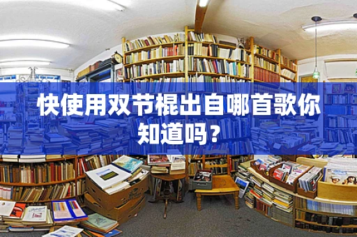快使用双节棍出自哪首歌你知道吗？