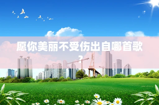 愿你美丽不受伤出自哪首歌？