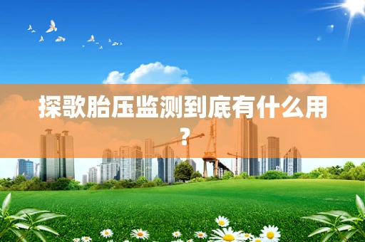 探歌胎压监测到底有什么用？
