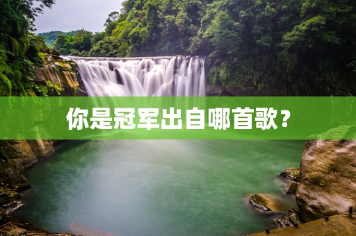 你是冠军出自哪首歌？