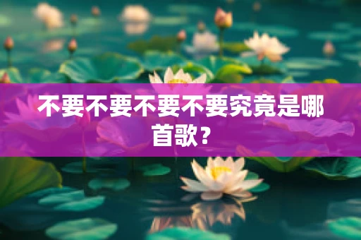 不要不要不要不要究竟是哪首歌？
