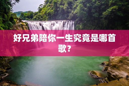 好兄弟陪你一生究竟是哪首歌？