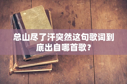 总山尽了汗突然这句歌词到底出自哪首歌？