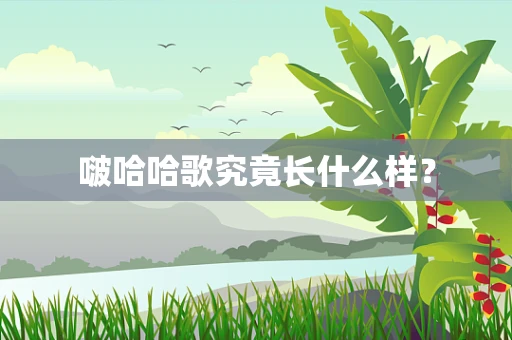 啵哈哈歌究竟长什么样？