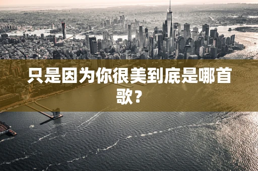 只是因为你很美到底是哪首歌？