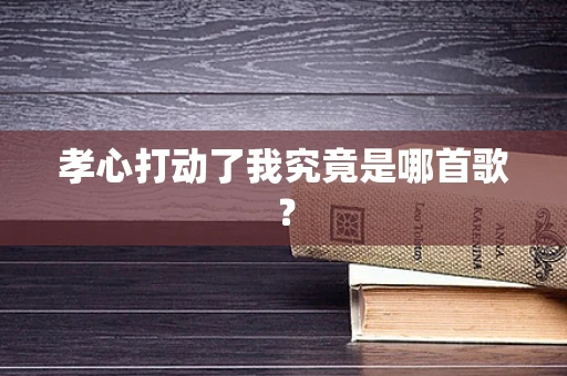 孝心打动了我究竟是哪首歌？