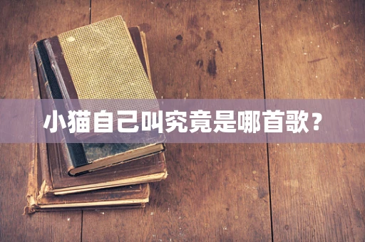 小猫自己叫究竟是哪首歌？