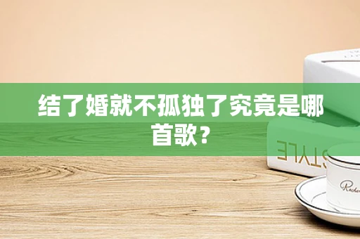结了婚就不孤独了究竟是哪首歌？