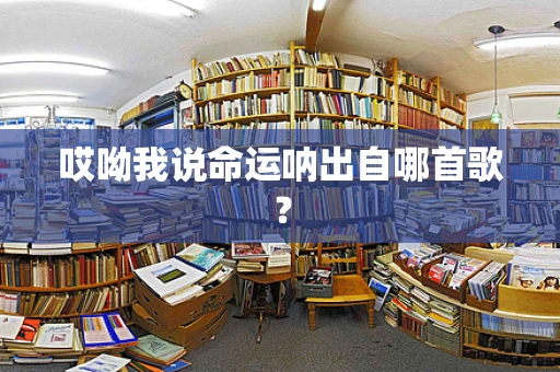哎呦我说命运呐出自哪首歌？