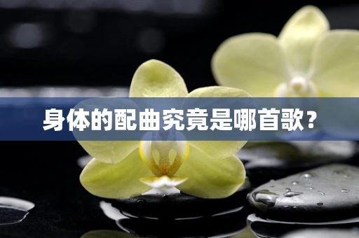 身体的配曲究竟是哪首歌？
