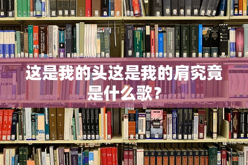 这是我的头这是我的肩究竟是什么歌？