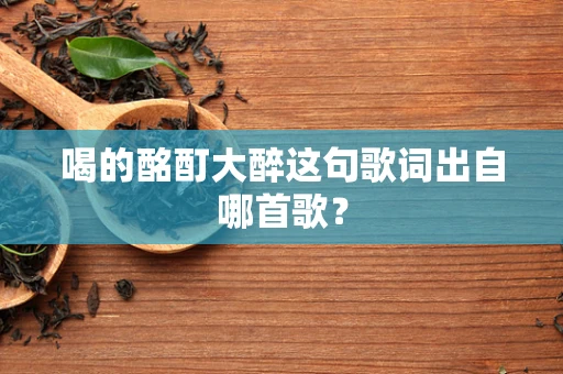 喝的酩酊大醉这句歌词出自哪首歌？