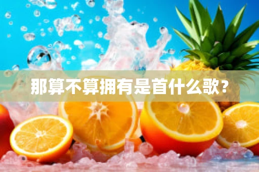 那算不算拥有是首什么歌？
