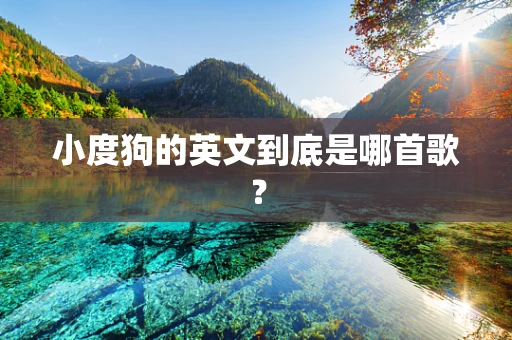 小度狗的英文到底是哪首歌？