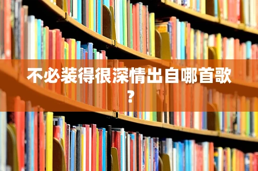 不必装得很深情出自哪首歌？