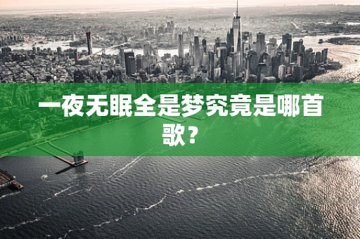 一夜无眠全是梦究竟是哪首歌？