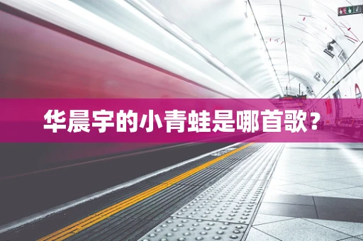 华晨宇的小青蛙是哪首歌？