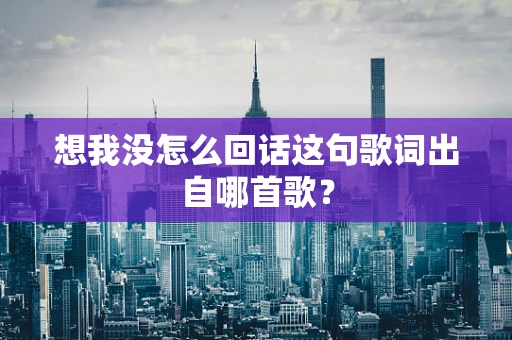 想我没怎么回话这句歌词出自哪首歌？