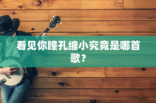 看见你瞳孔缩小究竟是哪首歌？