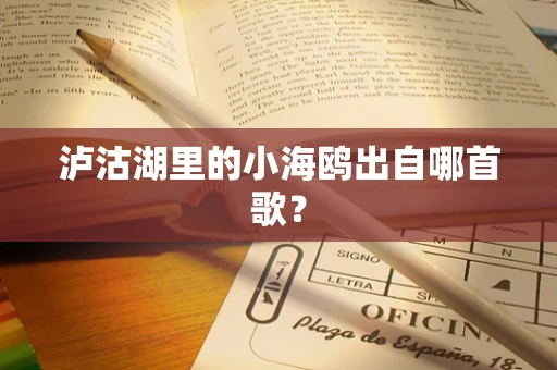 泸沽湖里的小海鸥出自哪首歌？